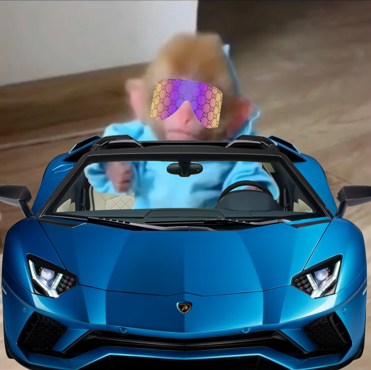 $galvin Lambo